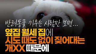 (※시청자댓글) 옆집 월세 집에 시도 때도 없이 짖어 대는 개 때문에 모든 반려 동물들에 대한 혐오감이 생겼습니다.