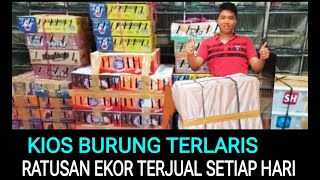 KIOS BURUNG (TERLARIS) GILA BISA TERJUAL RATUSAN EKOR SETIAP HARI KIOS SIGIT DI PASAR BURUNG PRAMUKA