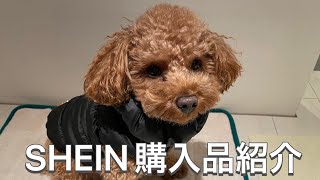 SHEINの犬服購入品紹介【トイプードル】