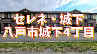 セレネ・城下 101／青森県八戸市城下4丁目／2LDK 八戸不動産情報館｜八戸市の不動産なら八代産業株式会社 賃貸、土地、中古住宅、アパート、マンション等