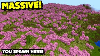 You SPAWN in This MASSIVE CHERRY BLOSSOM Biome in Minecraft 1.20! 1000+ Wide Cherry Blossom Seed