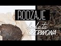 Rodzaje i przygotowanie czerwonej herbaty Pu-erh (2/5). Czajnikowy.pl