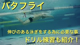 伸びのある バタフライ を泳ぐために必要な タイミング について 【 水泳 】【 競泳 】