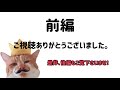 野良猫が家猫になるまでの記録【前編】