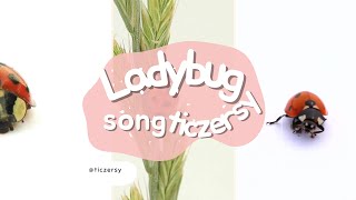 Piosenka o biedronce dla dzieci- Ladybug song