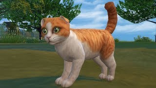 The Sims 4: Cats & Dogs Vet Career (Streamed 11/11/17)