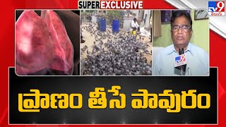 పావురాల రెట్ట, ఈకల్లో ప్రమాదకరమైన వైరస్, బ్యాక్టీరియా | Dangerous virus and bacteria with Pigeons