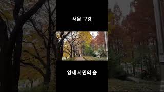 양재 시민의 숲 걷기 HD 4K travel to Korea Seoul