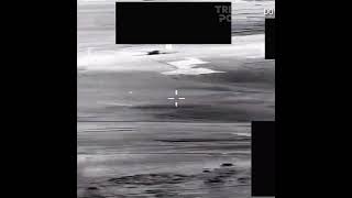A new batch of UFO files have just been released to the public