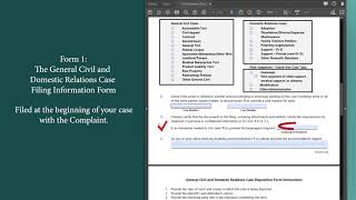 Georgia General Civil & Domestic Relations Case Filing information and Disposition Forms Walkthrough