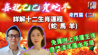 【粵語中字】詳述2025乙巳年蛇馬羊生肖運程 | EP0069 20241027 #自己話事 #阿娜 #李sir玄宇宙學園 #喜迎乙巳賀蛇年 #奇門命盤 #奇門風水 #幾何立極法 #乙巳年十二生肖運程