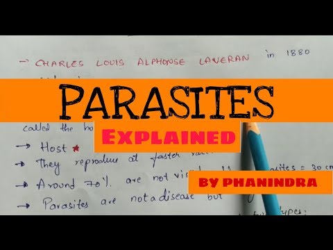 What are parasites give examples?