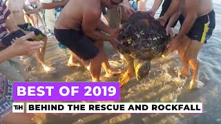 Behind the Best of 2019: Rockfall and Turtle Rescue | This is Happening