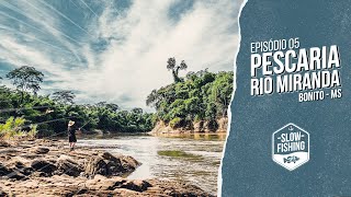 Episódio 5: Pescamos de tudo no Rio Miranda - SlowFishing