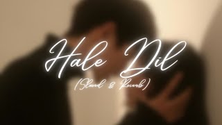 Hale Dil tujhko Sunata (slowed + reverbed) | murder-2 | Emraan Hashmi | lofi | Soul Music