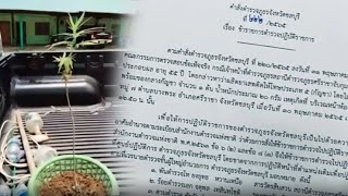 สั่งเด้ง 4 ตร. 'สภ.ศรีราชา' เซ่นผลงานจับป้าปลูกกัญชา 1 ต้น