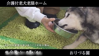 老犬老猫の最期の時まで寄り添う  「おりづる園」　＃応援したい世界がある