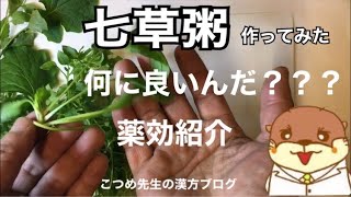 2023年七草粥が何に良いのか解説してみたし、作ってみた！【季節のお話】