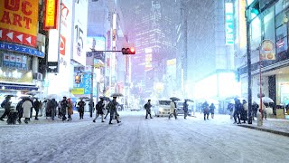 [4K] 渋谷の雪景色映像（2024年02月05日）Tokyo Shibuya Snow 4K B-Roll Footage 02.05.2024