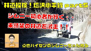 【ジムニーで林道探検】群馬県の塩沢小平線PART⑤（完結）〜崖道から出口まで〜※走行動画です―Jimny Japanese Forest road driving―