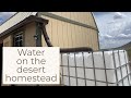 How We Get Water On Our Desert Homestead With No Well [Prep 365: EP121]