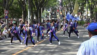 「宮戸青嵐」 第36回 彩夏祭 朝霞市民まつり 関八州よさこいフェスタ 2019 8 3（土）公園通り北演舞場