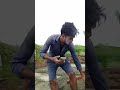 bichare garmi mein jal gaye 😰🌞 ~ most viral comedy video 😂 abhay bhadoriya