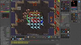 Tibia Royal paladin 500 in walls