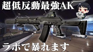 AK-74N最強カスタムで暴れます【タルコフ】