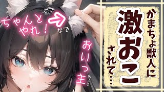 【激おこ/ケモ耳】色々怠けてたらかまちょ獣人に激おこされて…【男性向けシチュエーションボイスASMR】