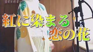 紅に染まる恋の花/幽閉サテライト 歌ってみたcover ✨Lieny✨