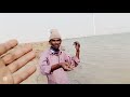 1 hour me full icebox heera machli ki dhamakedar fishing mangroves handline fishing video karachi