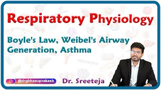 Respiratory Physiology : Boyle's Law, Weibel's airway generation, Asthma : USMLE Step 1 Physiology