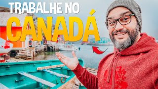 URGENTE - A OPORTUNIDADE PARA MORAR E TRABALHAR NO CANADÁ 🇨🇦