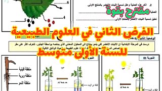 الفرض الثاني في العلوم الطبيعية للسنة الأولى متوسط شامل