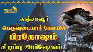 தஞ்சை பெருவுடையார் கோயில் பிரதோஷம்  சிறப்பு அபிஷேகம்