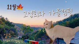 우당탕탕 캠핑Vlog : 고영희 간택받은 양주 가을캠핑