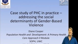 Gender Based Violence - Prof Di Cooper