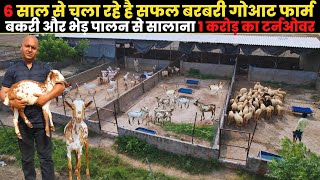 मथुरा का सबसे बड़ा और शानदार बरबरी Goat Farm | जाने कैसे होती है Goat Farming से बम्पर कमाई