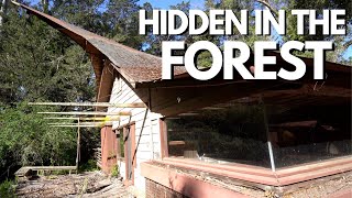 Inside Druid Heights, the hidden bohemian village in the redwoods