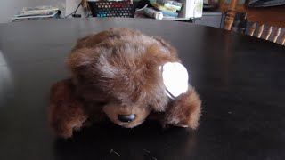 TY CLASSIC 1996 baby Paws the Brown Bear plush review