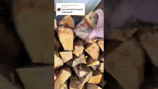 How to tell if your firewood is seasoned