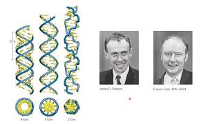 BIOCHEMISTRY Part 1| NUCLEIC ACID| PRACTICE QUESTIONS |ICMR 2024 |