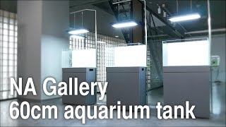 [ADAview] NA Gallery 60cm aquarium tank x3