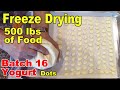 Freeze Drying Your First 500 lbs of Food - Batch 16  -  Yogurt, Peach & Strawberry