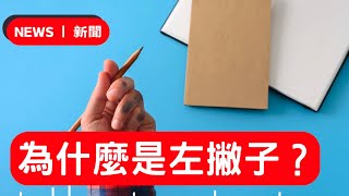 140. 新聞：為什麼是左撇子？