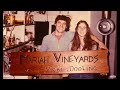 starting a vineyard from the ground up how a couples dream became a reality