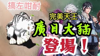 搞左佢咁耐，完美廣目大貓登場！岩入坑係唔係一定要玩完美呢！？