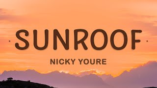 Nicky Youre Sunroof Lyrics ft dazy