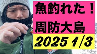 【大物釣れた！！　】　山口県　周防大島　お魚釣り　釣り情報　アジ